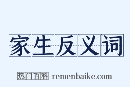 家生反义词是什么意思的图片